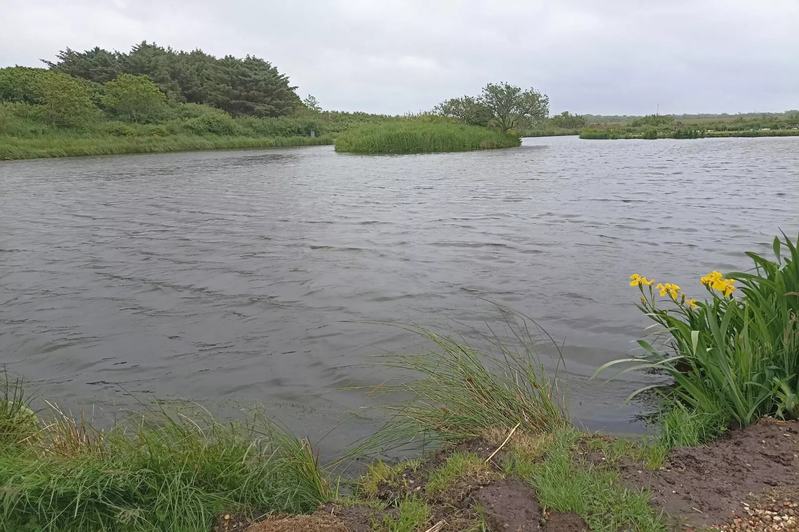 4 persoons vakantie huis in Bøvlingbjerg-Waterzicht