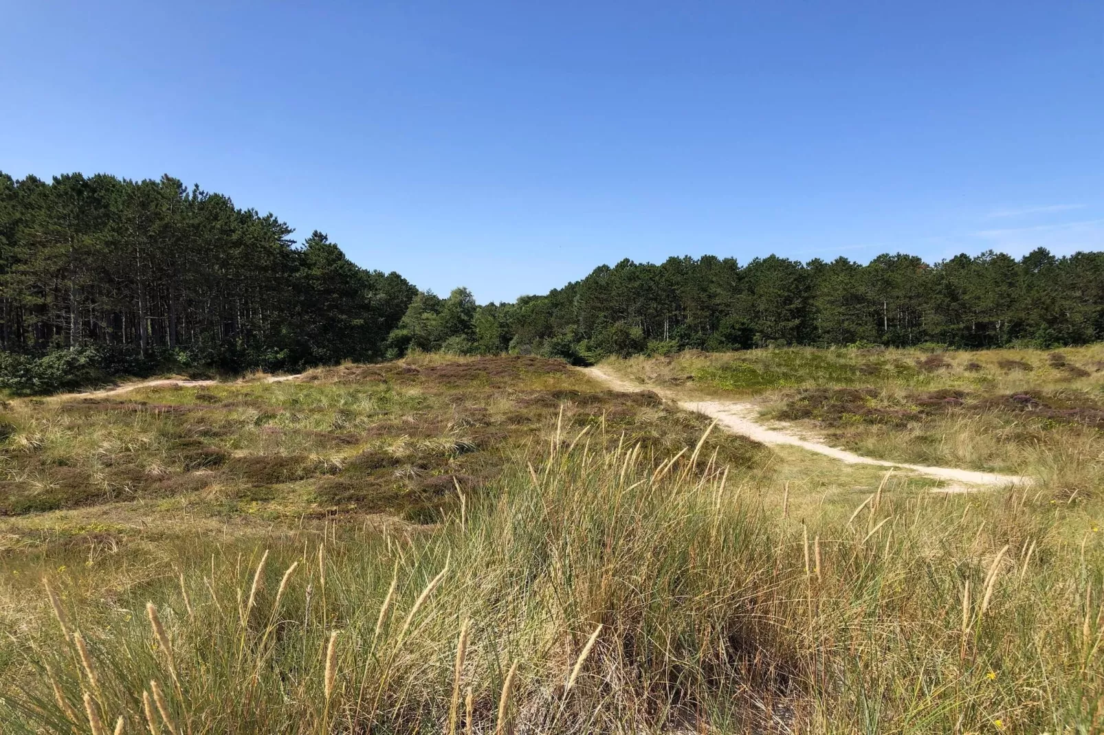 7 persoons vakantie huis in Grenaa-Niet-getagd