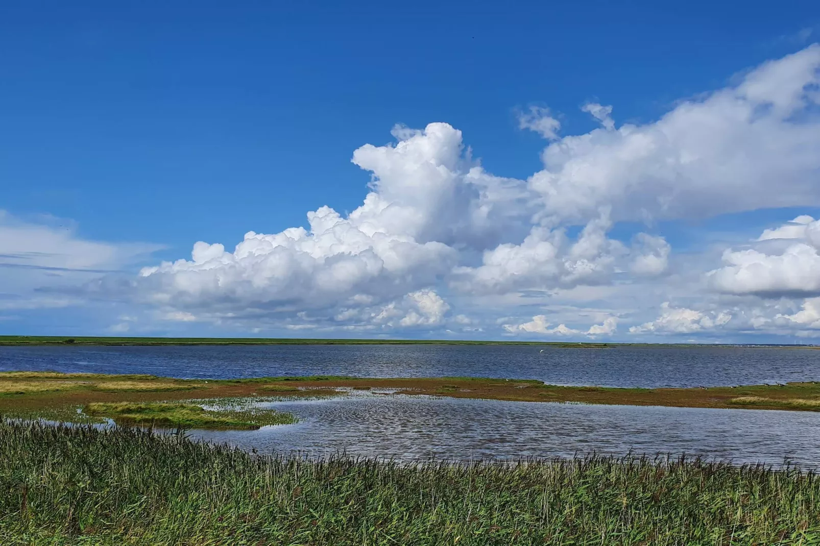 10 persoons vakantie huis in Højer-Niet-getagd
