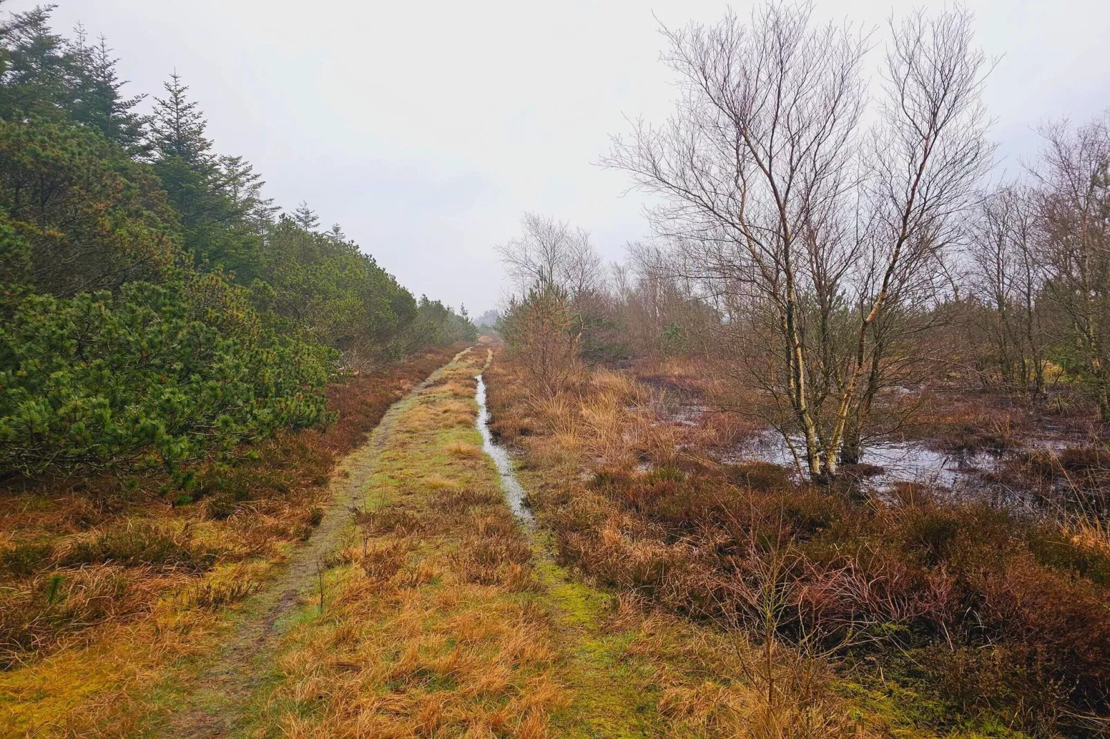 4 persoons vakantie huis in Nørre Nebel-Niet-getagd