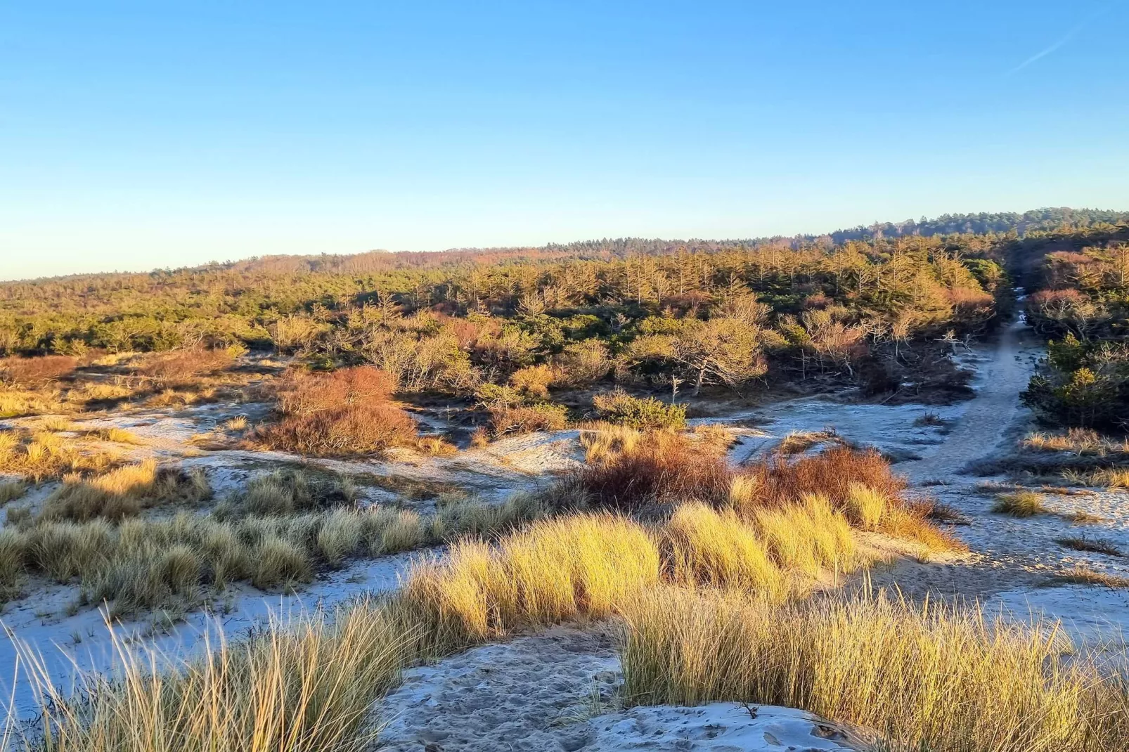 6 persoons vakantie huis in Tisvildeleje