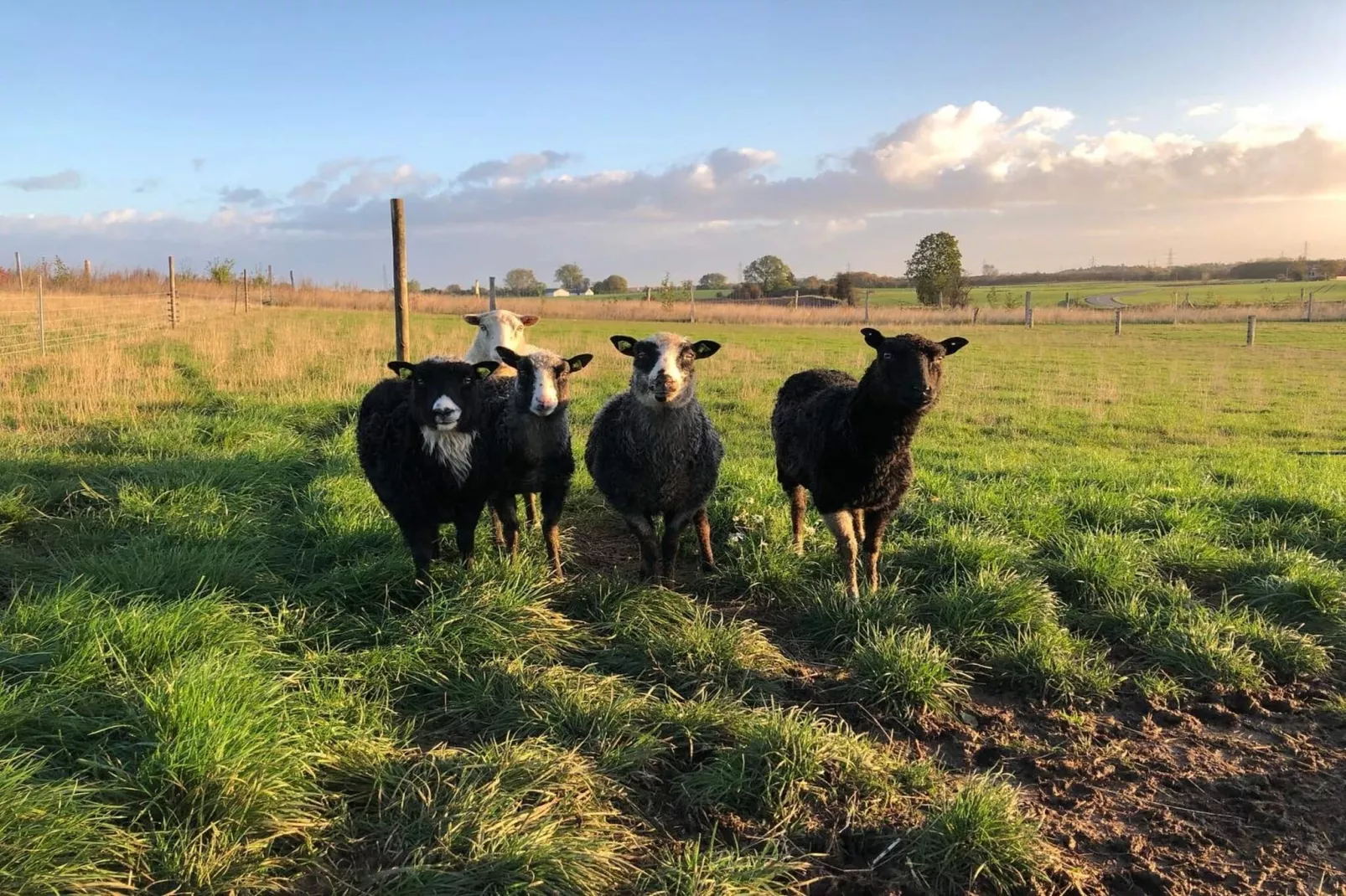 4 persoons vakantie huis in Skibby-Niet-getagd