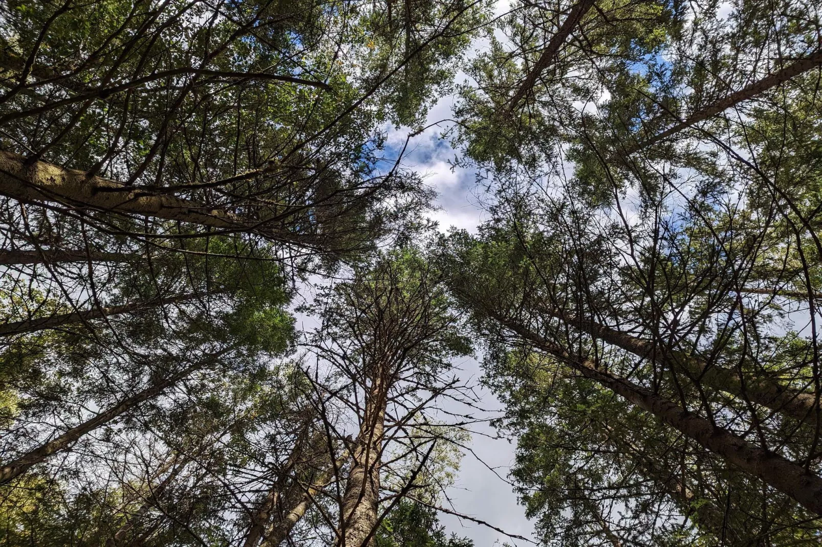 4 persoons vakantie huis in Brålanda-Niet-getagd