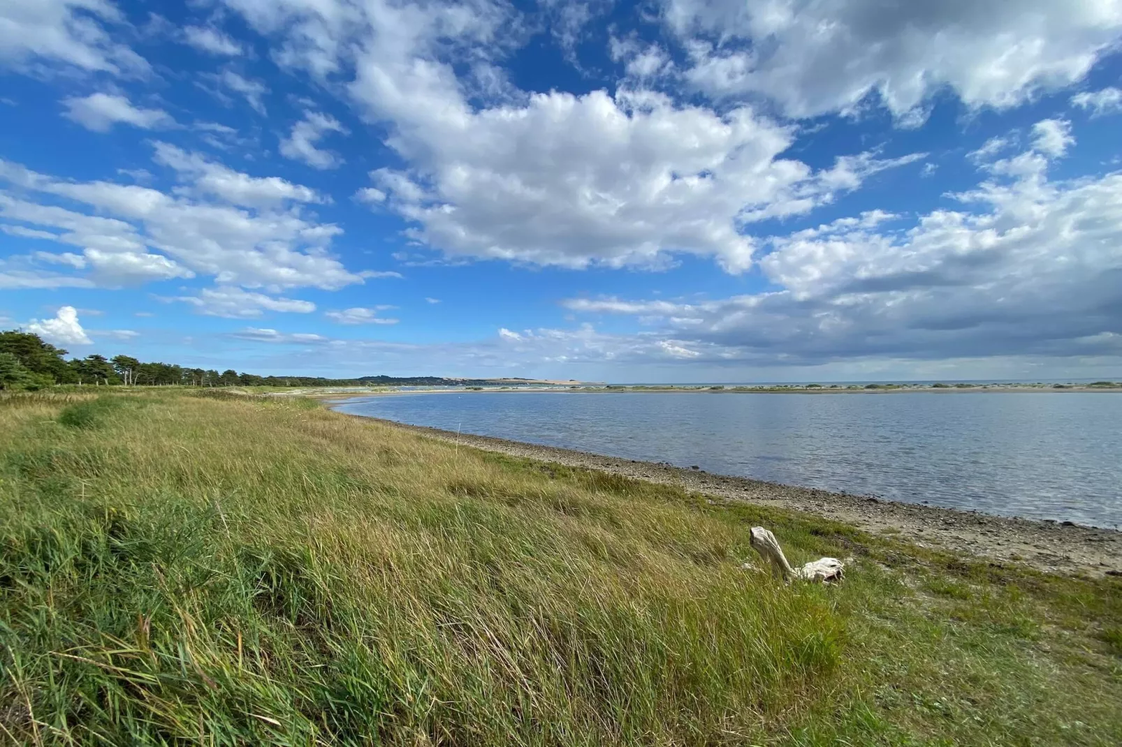 8 persoons vakantie huis in Knebel-Waterzicht