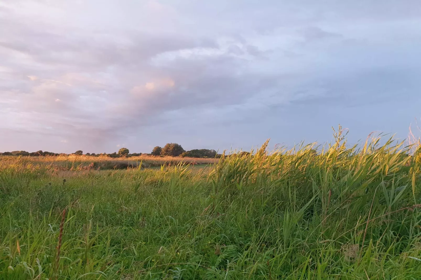 Zeezijde Cottage met Sauna-By Traum-Niet-getagd
