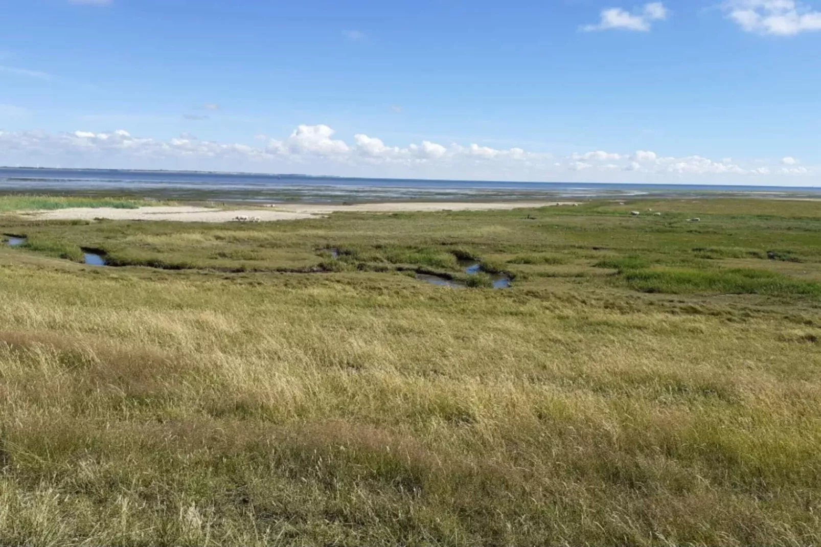 6 persoons vakantie huis in Rømø