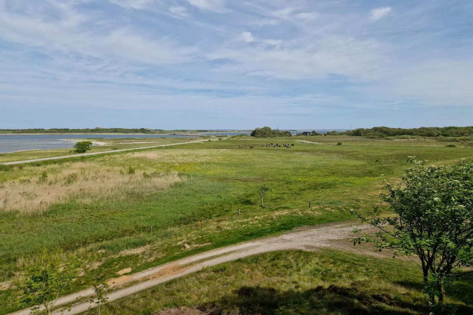 Rustige natuurlijke ontsnapping-By Traum-Niet-getagd