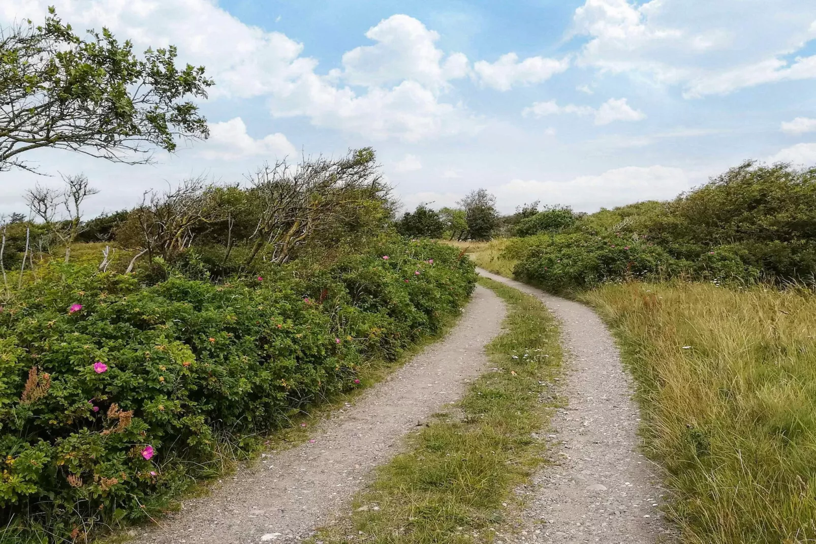 Gezellige Cottage-oase in Trend-By Traum-Buitenlucht