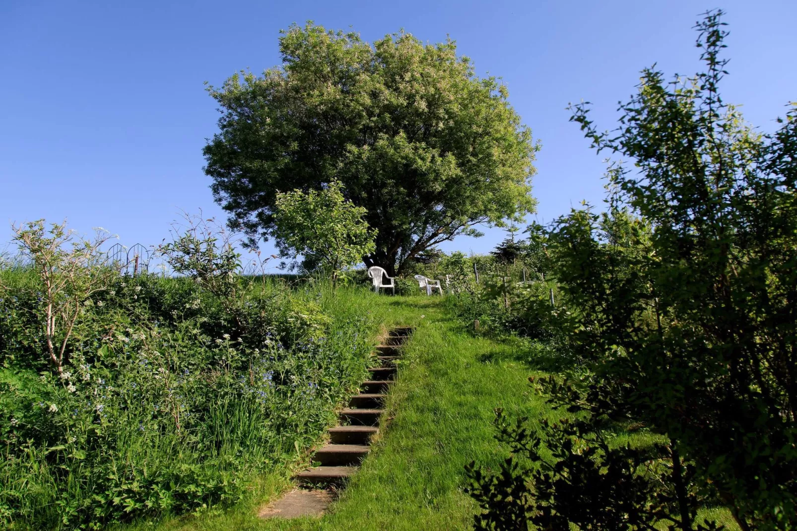 6 persoons vakantie huis in Knebel