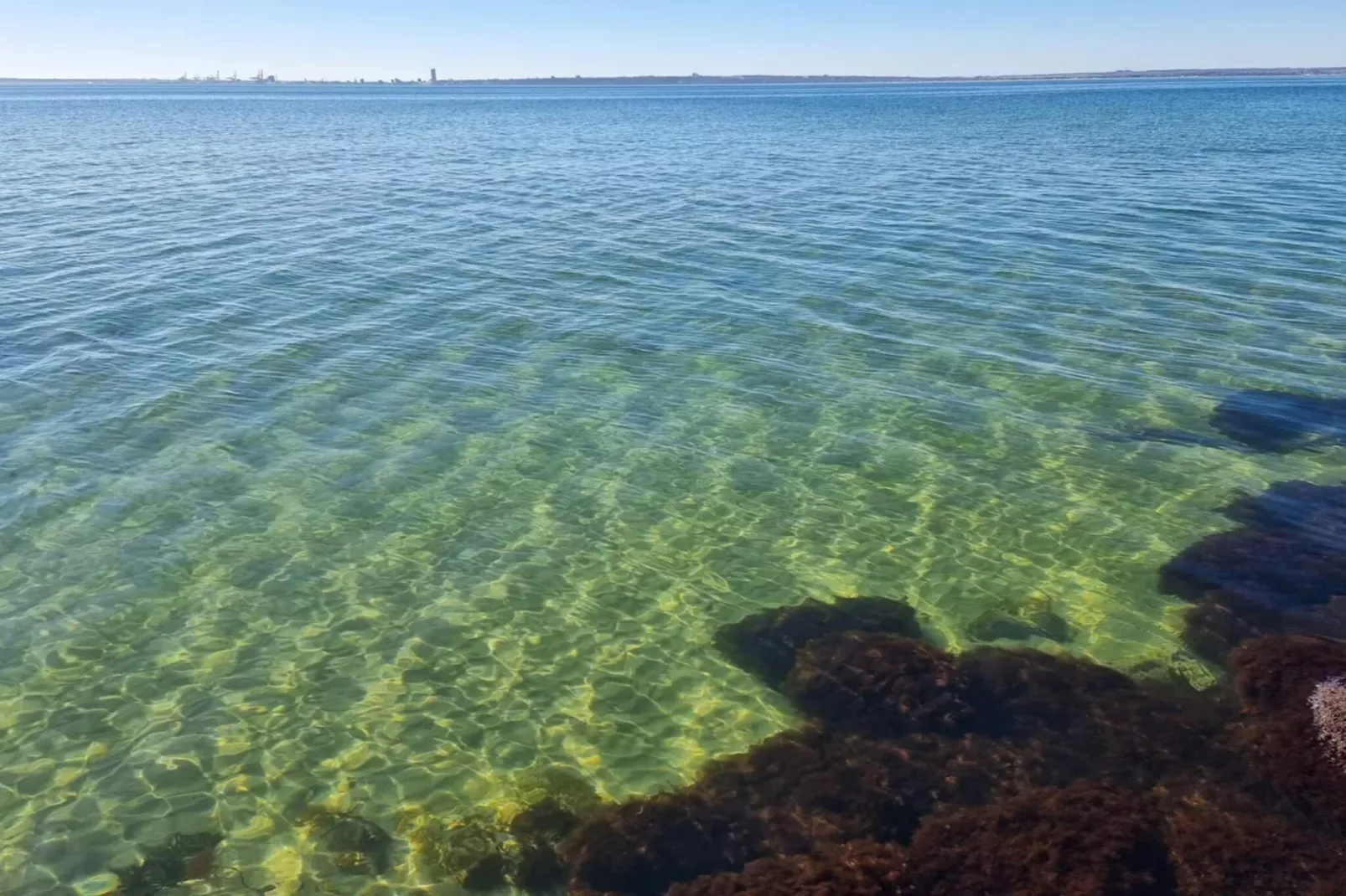 4 persoons vakantie huis in Knebel-Waterzicht