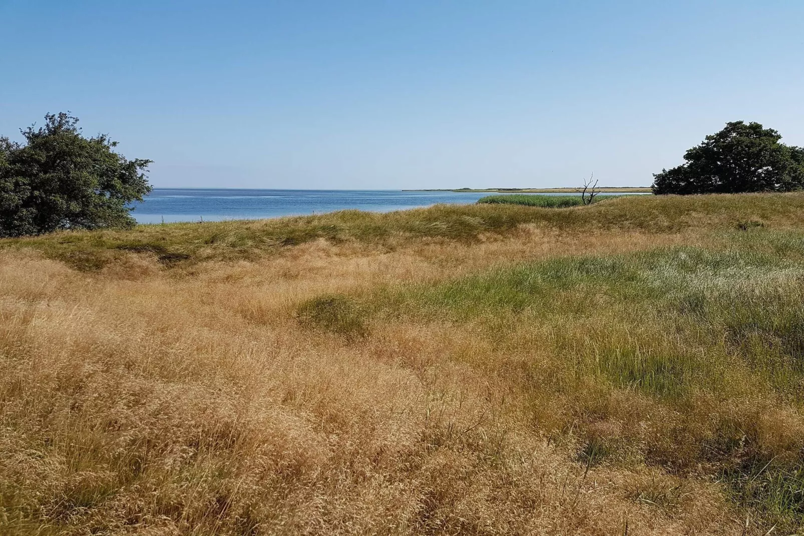 10 persoons vakantie huis in Stege