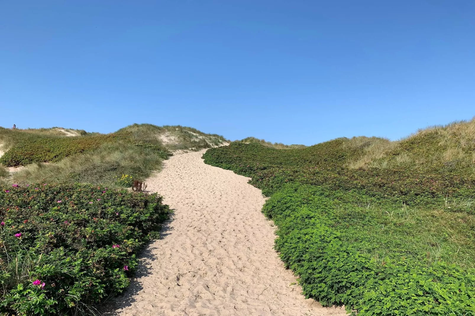 6 persoons vakantie huis in Ringkøbing-Niet-getagd