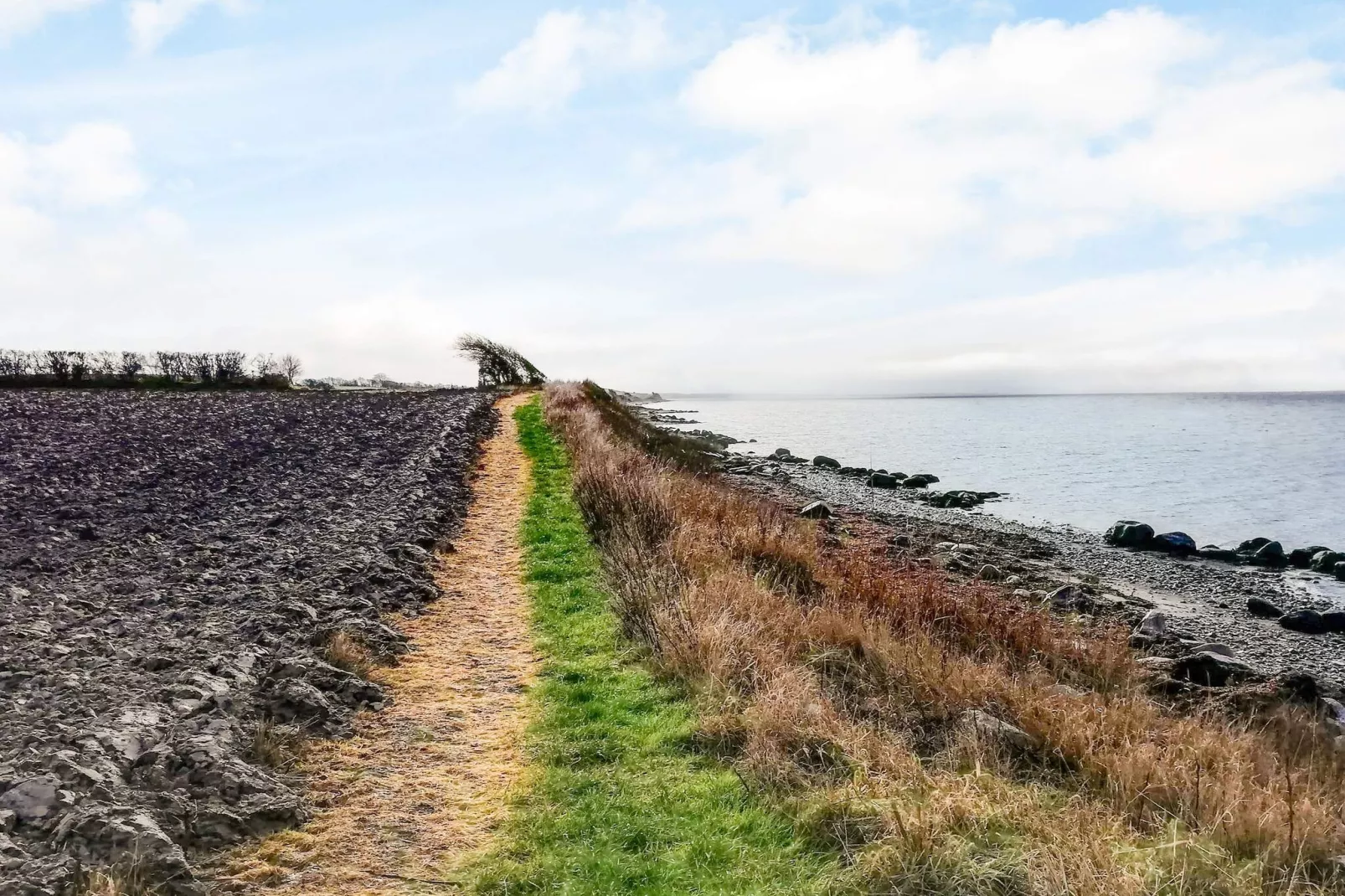 4 persoons vakantie huis in Tranekær-Buitenlucht