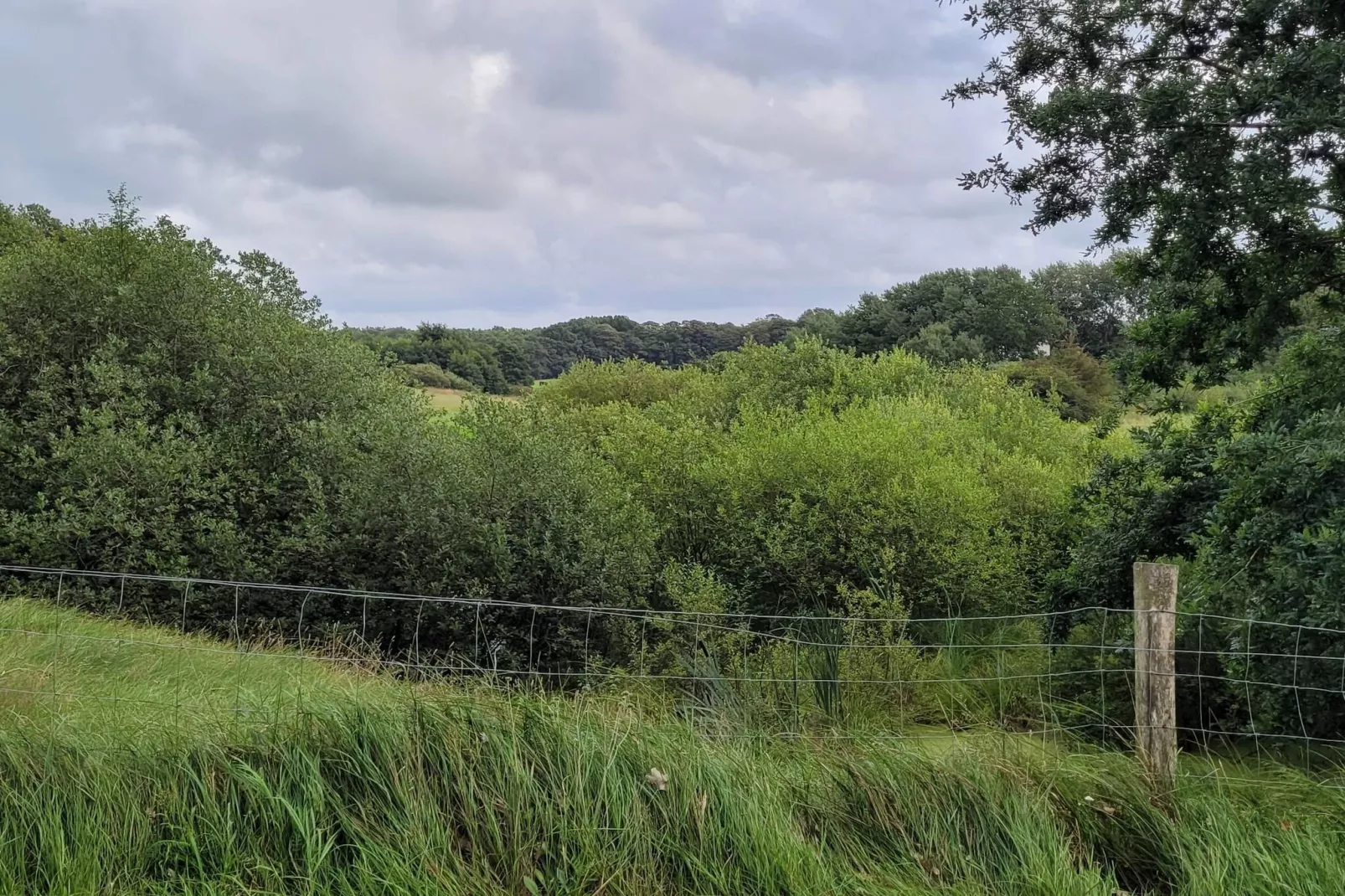 5 persoons vakantie huis in Hovborg