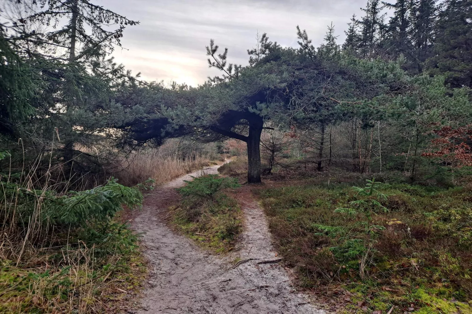 Afgelegen toevluchtsoord in Koldkaer -- By Traum Ferienwohnungen-Niet-getagd