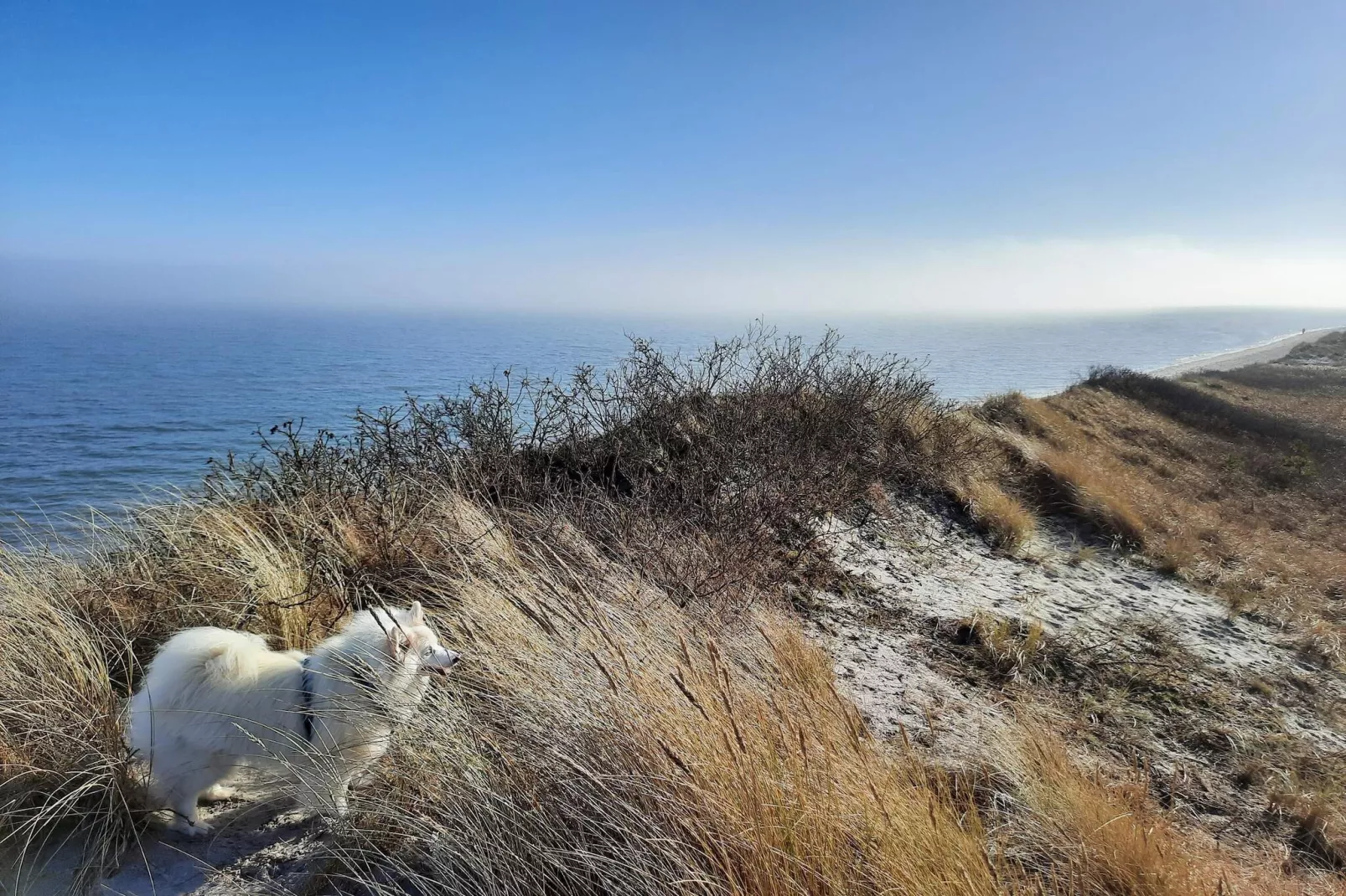 5-persoons vakantiehuis in Sæby