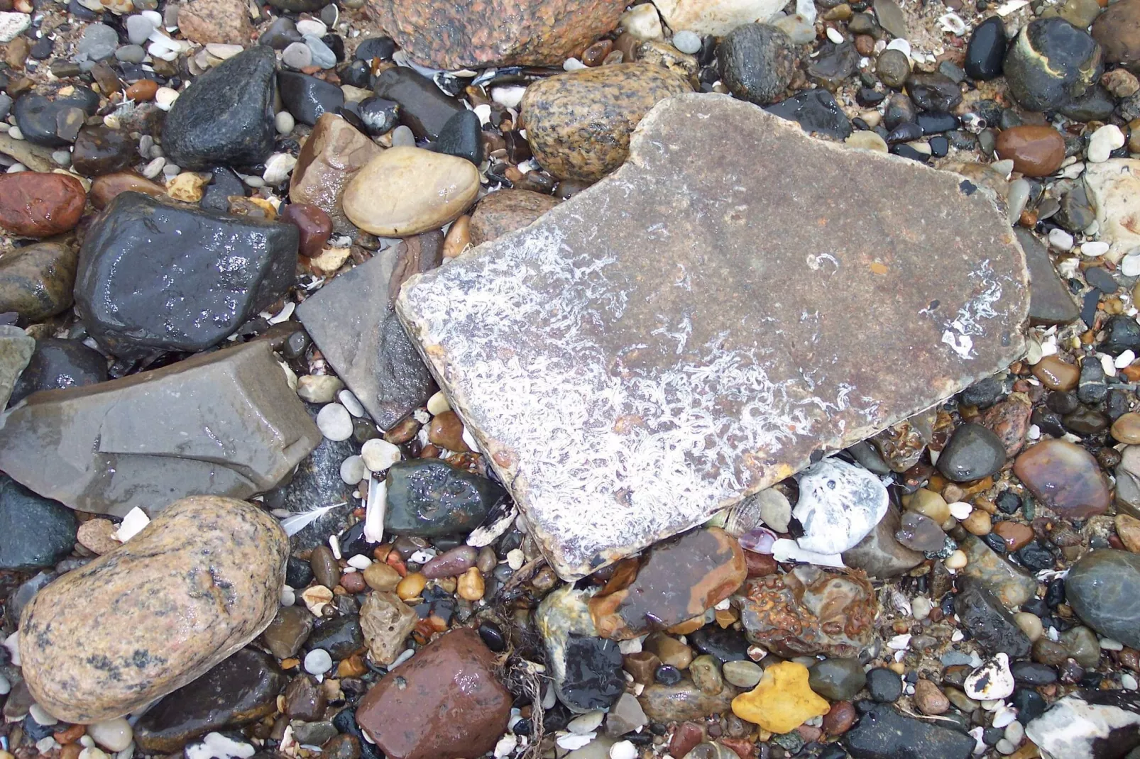 Afgelegen oase op Fur -- By Traum Ferienwohnungen