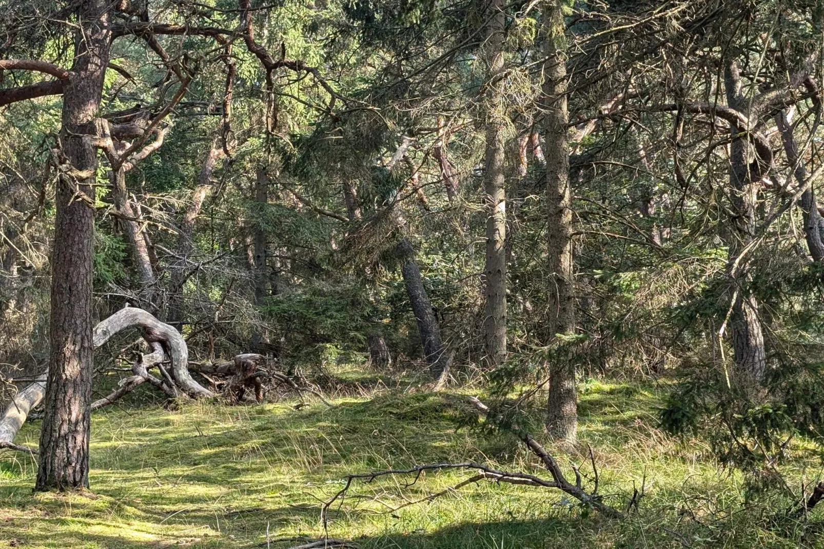 8 persoons vakantie huis in Melby-By Traum-Niet-getagd