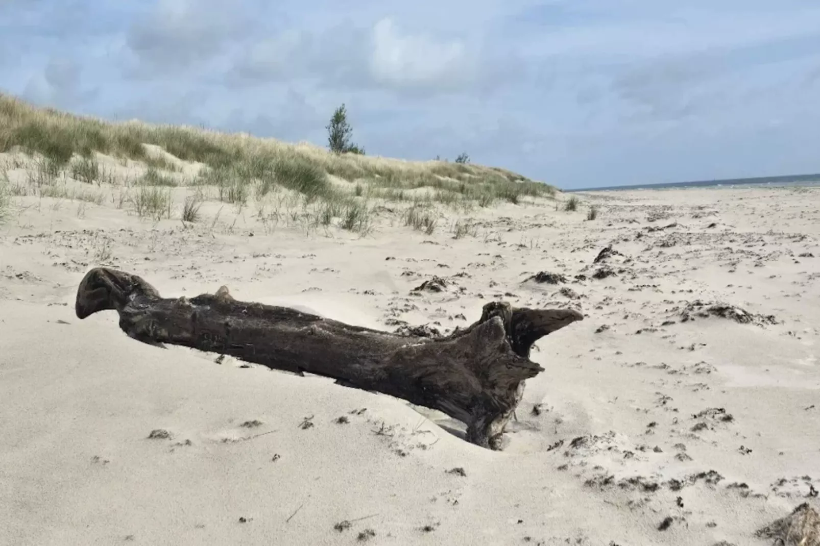 6 persoons vakantie huis in Löderup-By Traum-Niet-getagd