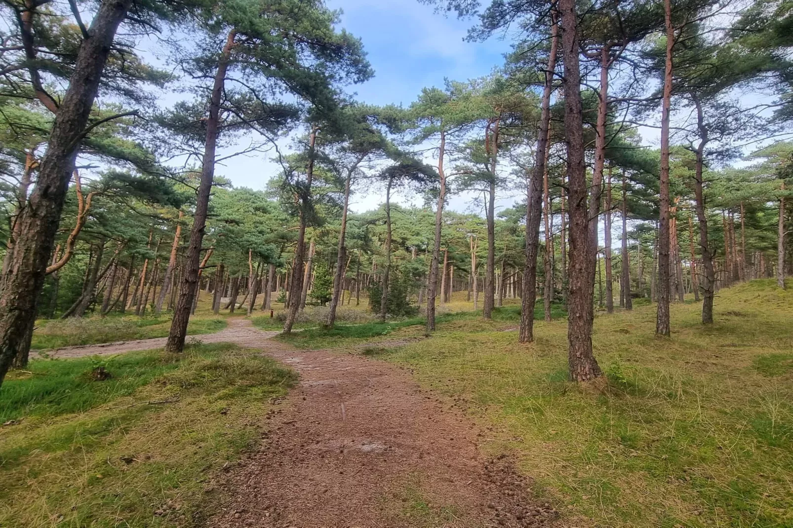 RIM FERIECENTER-Niet-getagd