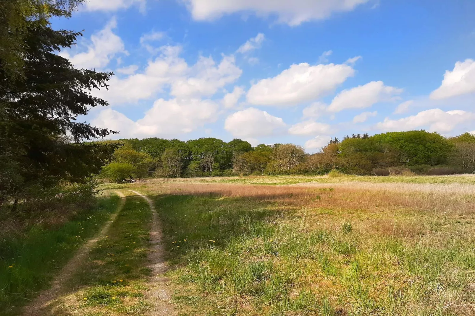 8 persoons vakantie huis in Ebeltoft-By Traum