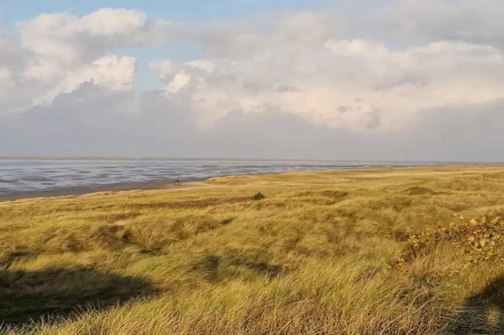 5 persoons vakantie huis in Rømø-By Traum-Niet-getagd