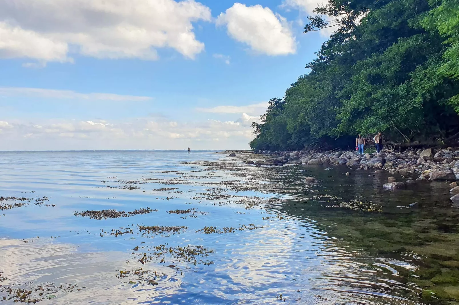 6 persoons vakantie huis in Aabenraa-By Traum-Waterzicht