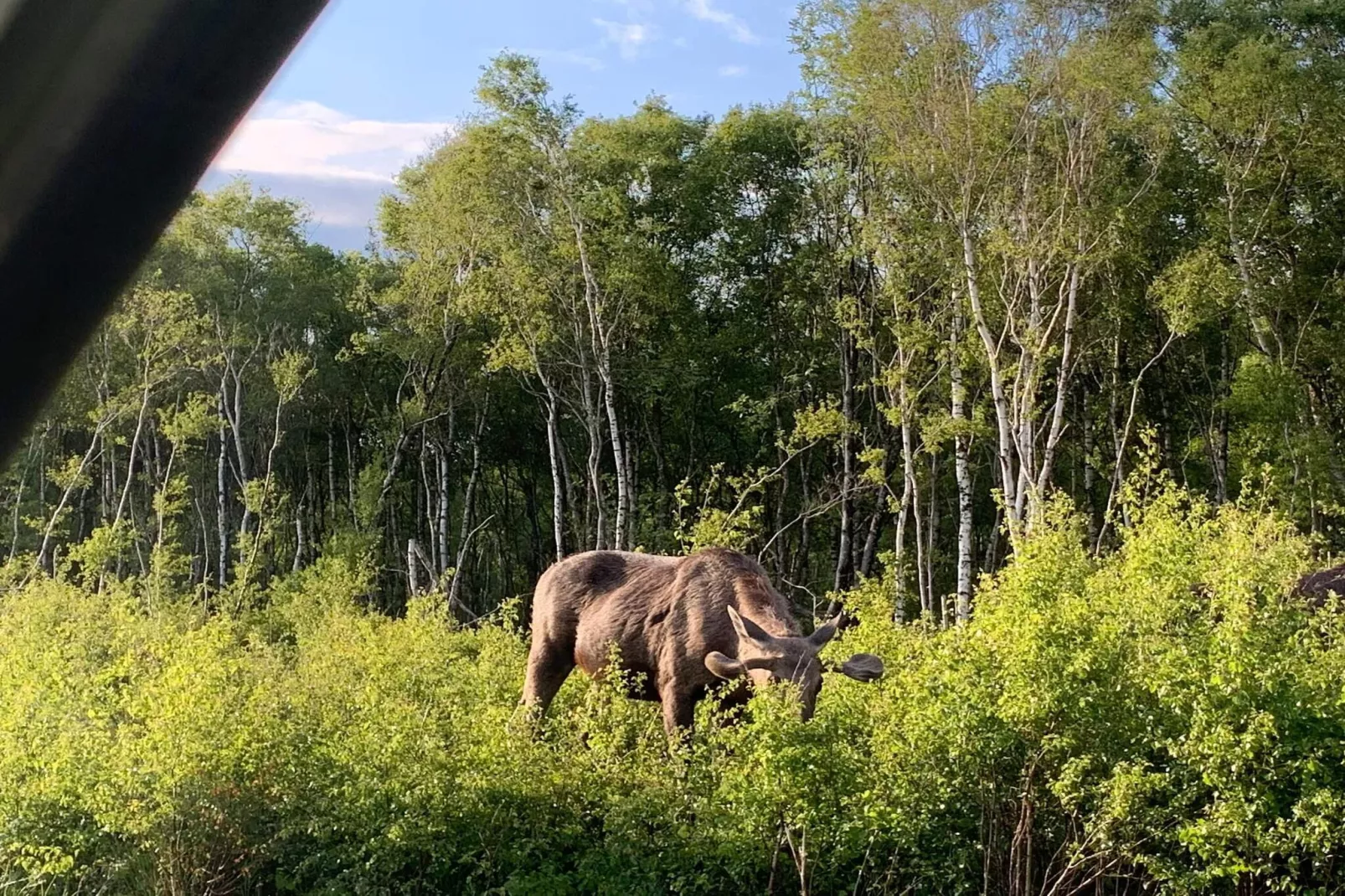 6 persoons vakantie huis in Storvorde-By Traum-Niet-getagd