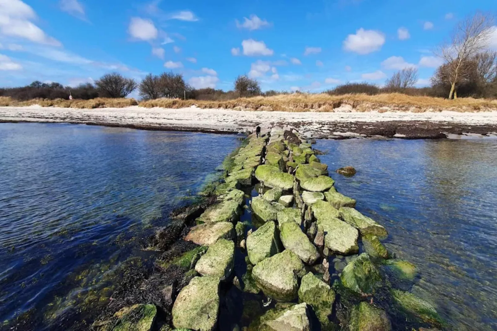 8 persoons vakantie huis in Idestrup-By Traum-Waterzicht