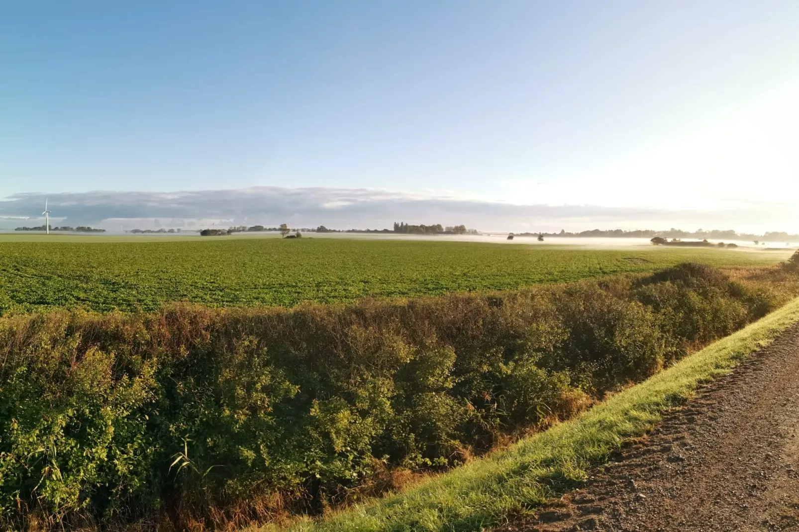 8 persoons vakantie huis in Rødby-By Traum-Niet-getagd