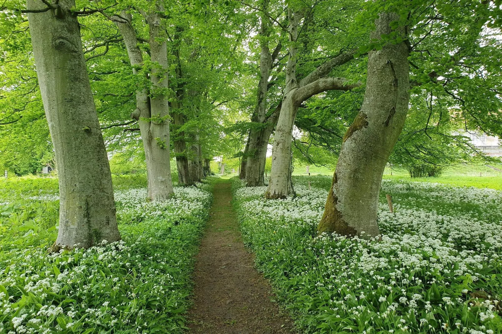 6 persoons vakantie huis in Højslev-By Traum-Niet-getagd