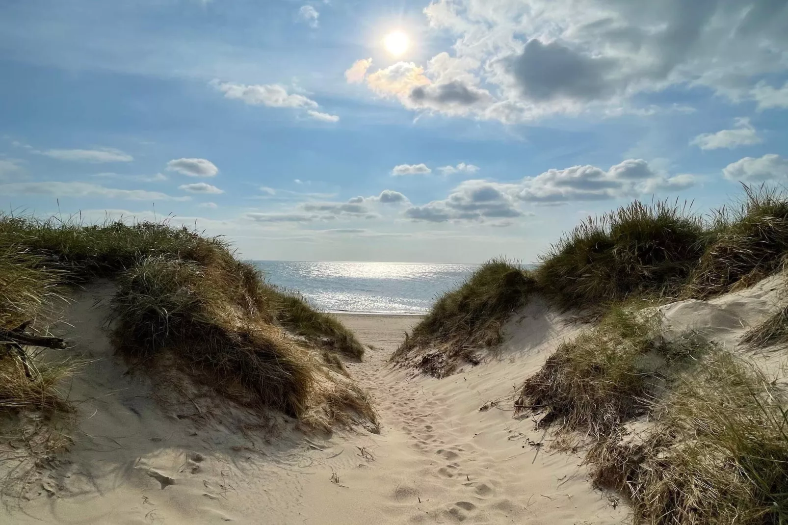 8 persoons vakantie huis in Ulfborg-Waterzicht