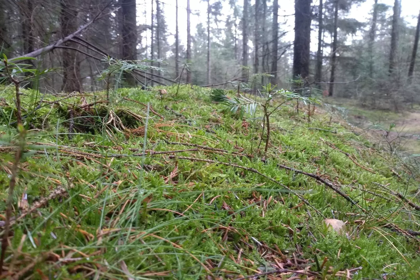 Luxe retraite met zwembad -- By Traum Ferienwohnungen