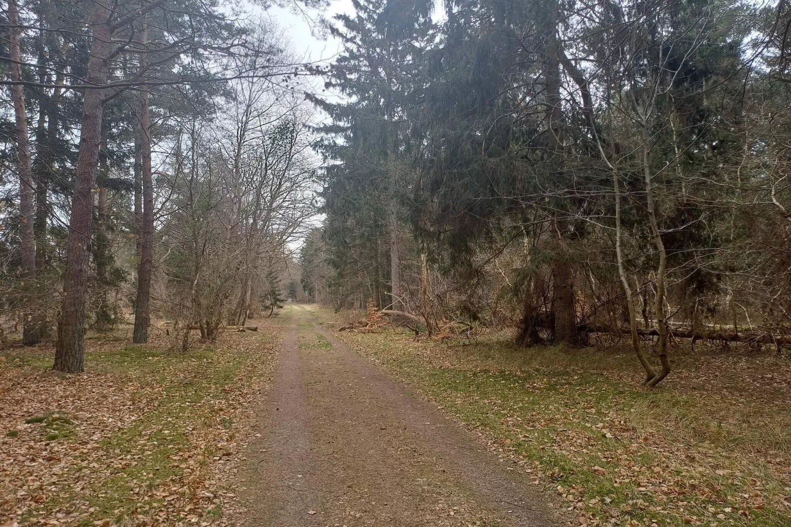 8 persoons vakantie huis in Nykøbing Sj-Niet-getagd