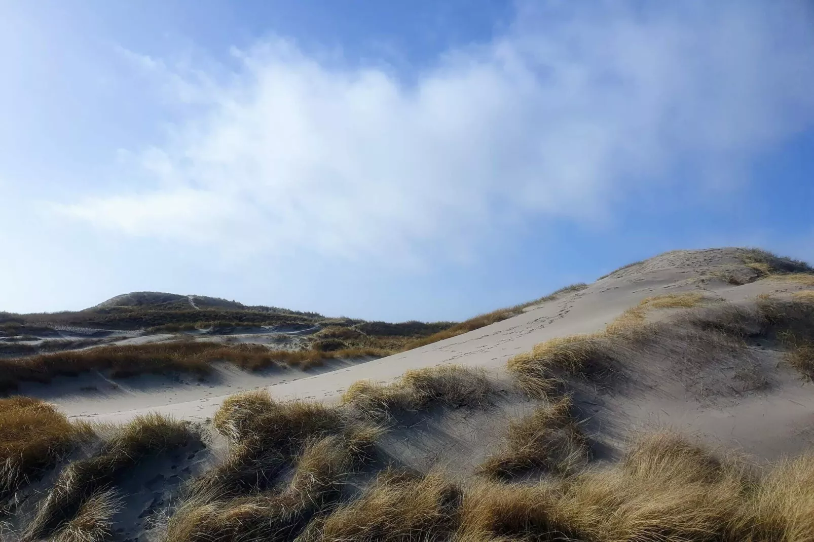 6 persoons vakantie huis in Ringkøbing-By Traum