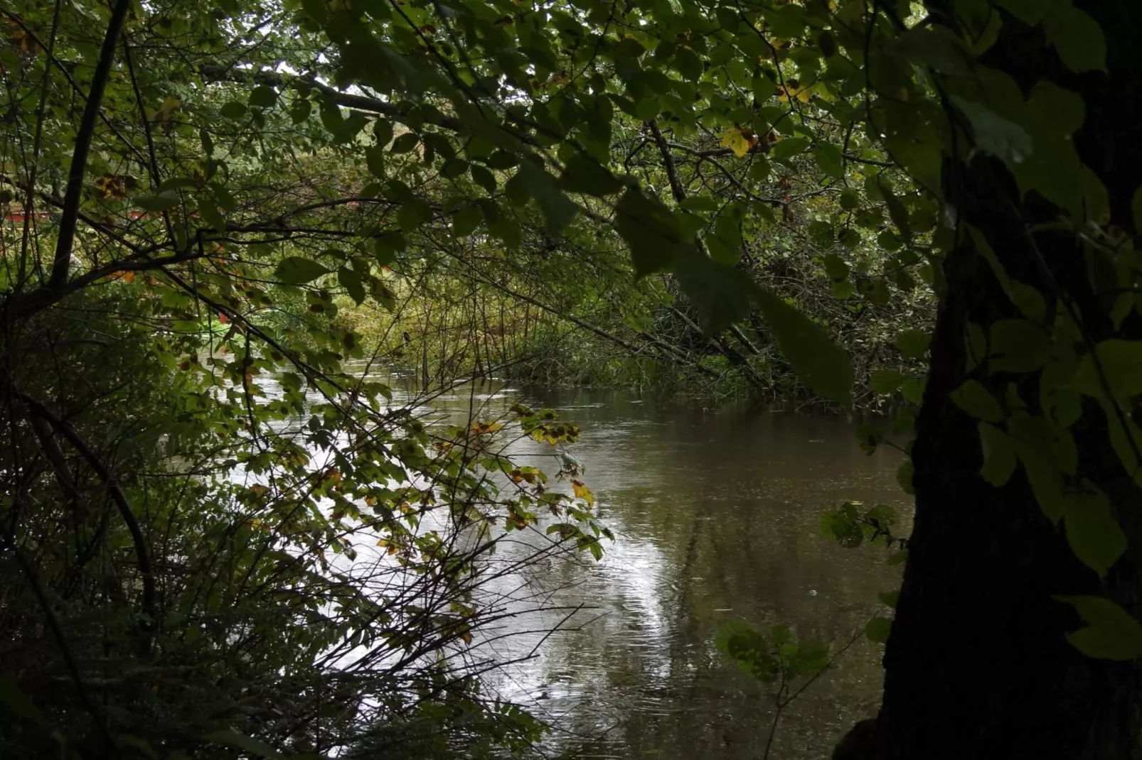 6 persoons vakantie huis in Ålbæk-By Traum