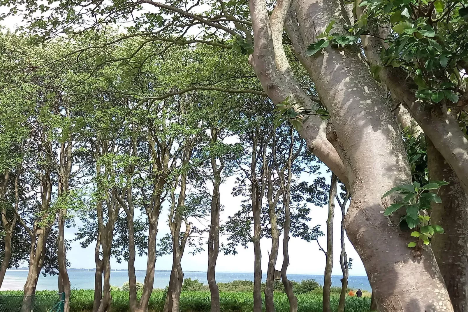 8 persoons vakantie huis in Sydals-By Traum-Niet-getagd