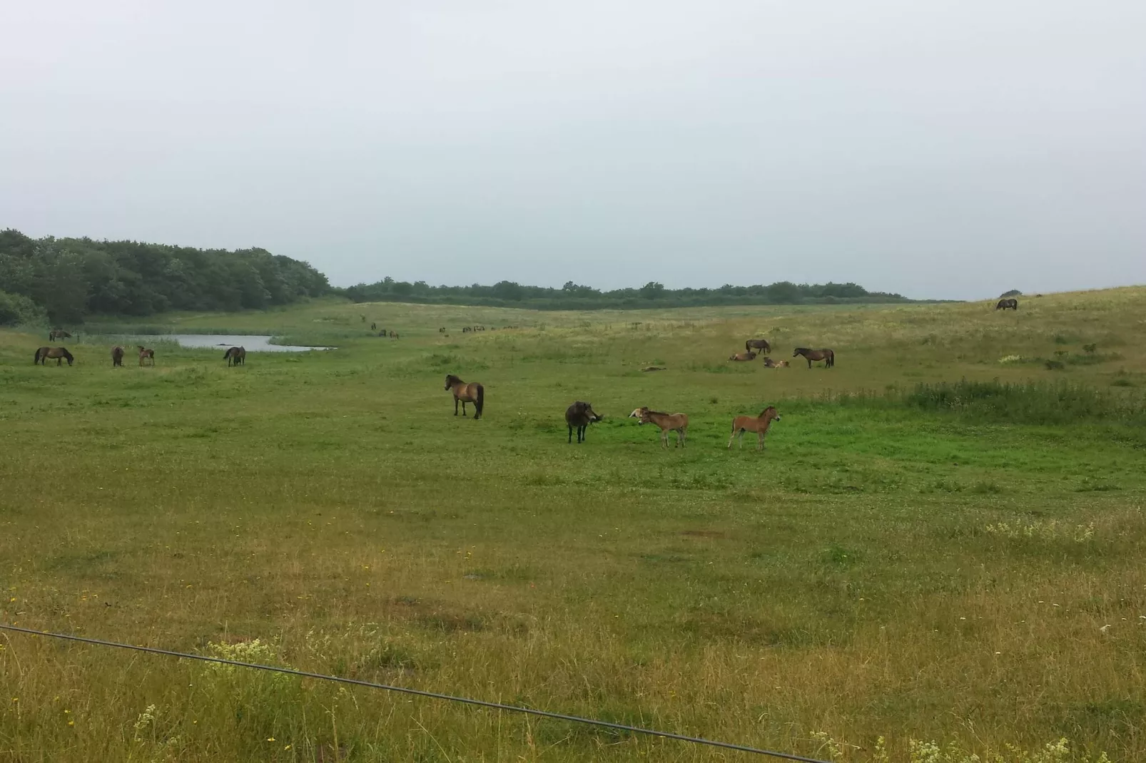 Luxe strandhuis -- By Traum Ferienwohnungen