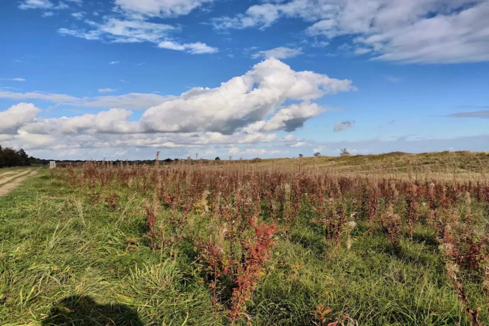 3 room, close to the sea/dike-Niet-getagd