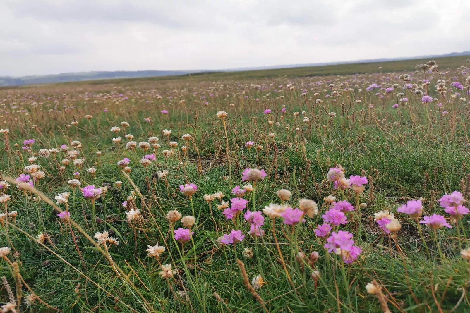 8 persoons vakantie huis in Lemvig-By Traum