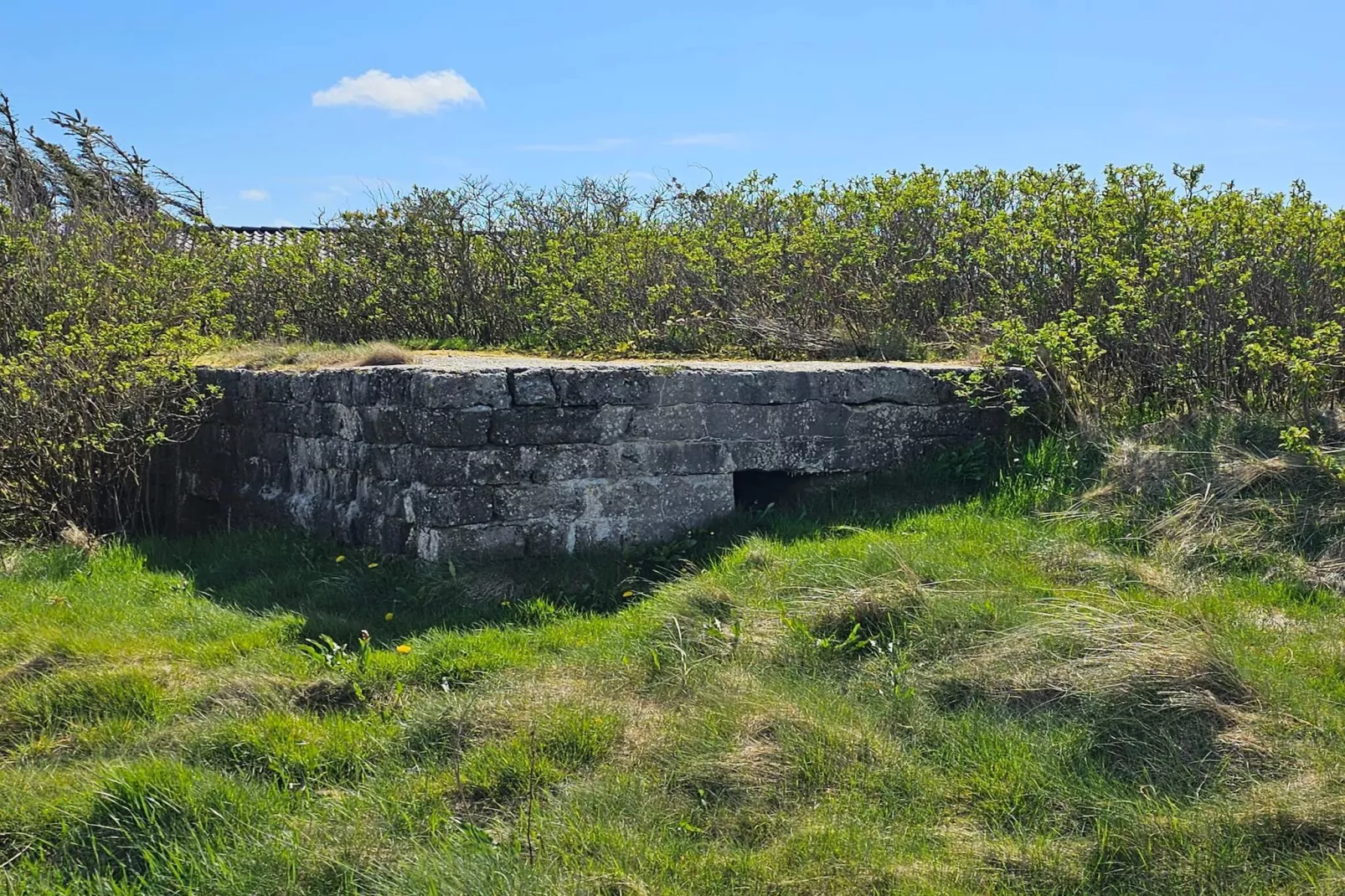 10 persoons vakantie huis in Harboøre-By Traum-Niet-getagd