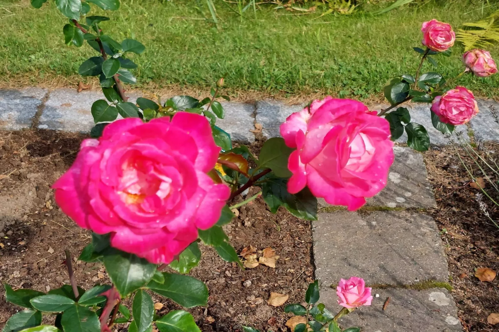 8 persoons vakantie huis in Sæby-By Traum