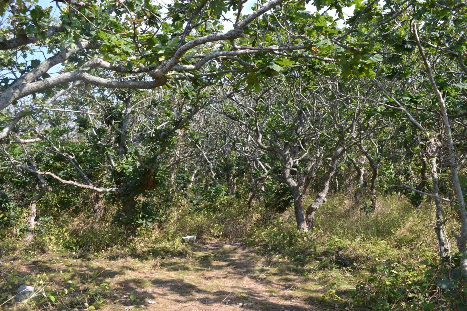 8 persoons vakantie huis in Ebeltoft-By Traum-Niet-getagd