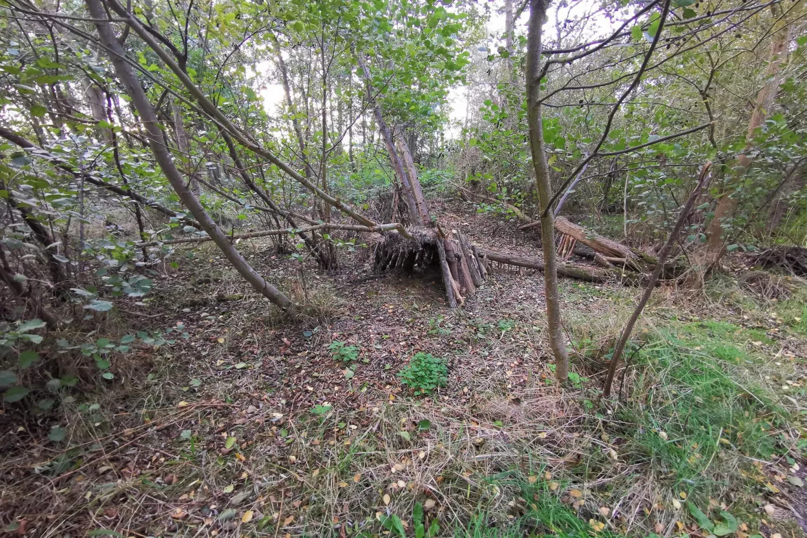 6 persoons vakantie huis in Dannemare-By Traum-Niet-getagd