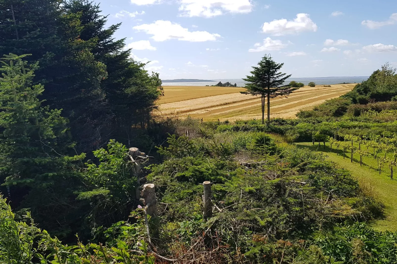 Panoramisch toevluchtsoord met Spa-Buitenlucht