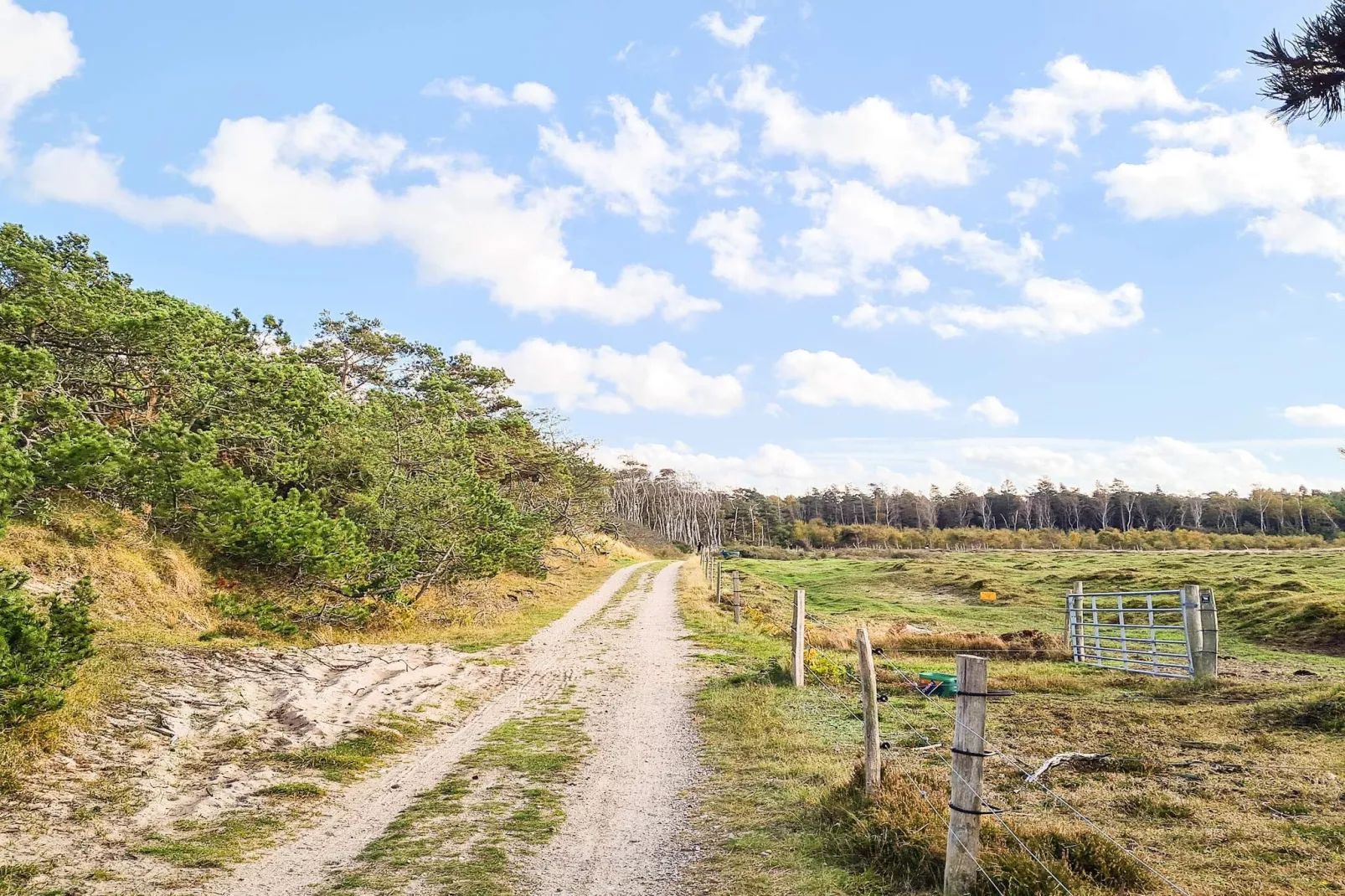 6 persoons vakantie huis in Frederiksværk-By Traum