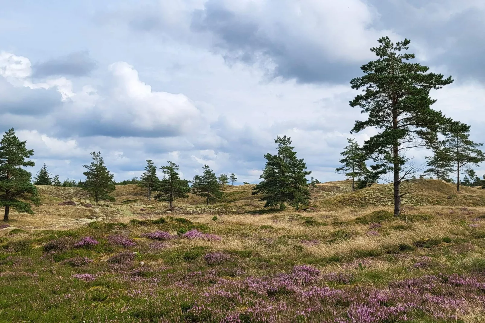 Sfeervol huis nabij strand -- By Traum Ferienwohnungen-Niet-getagd