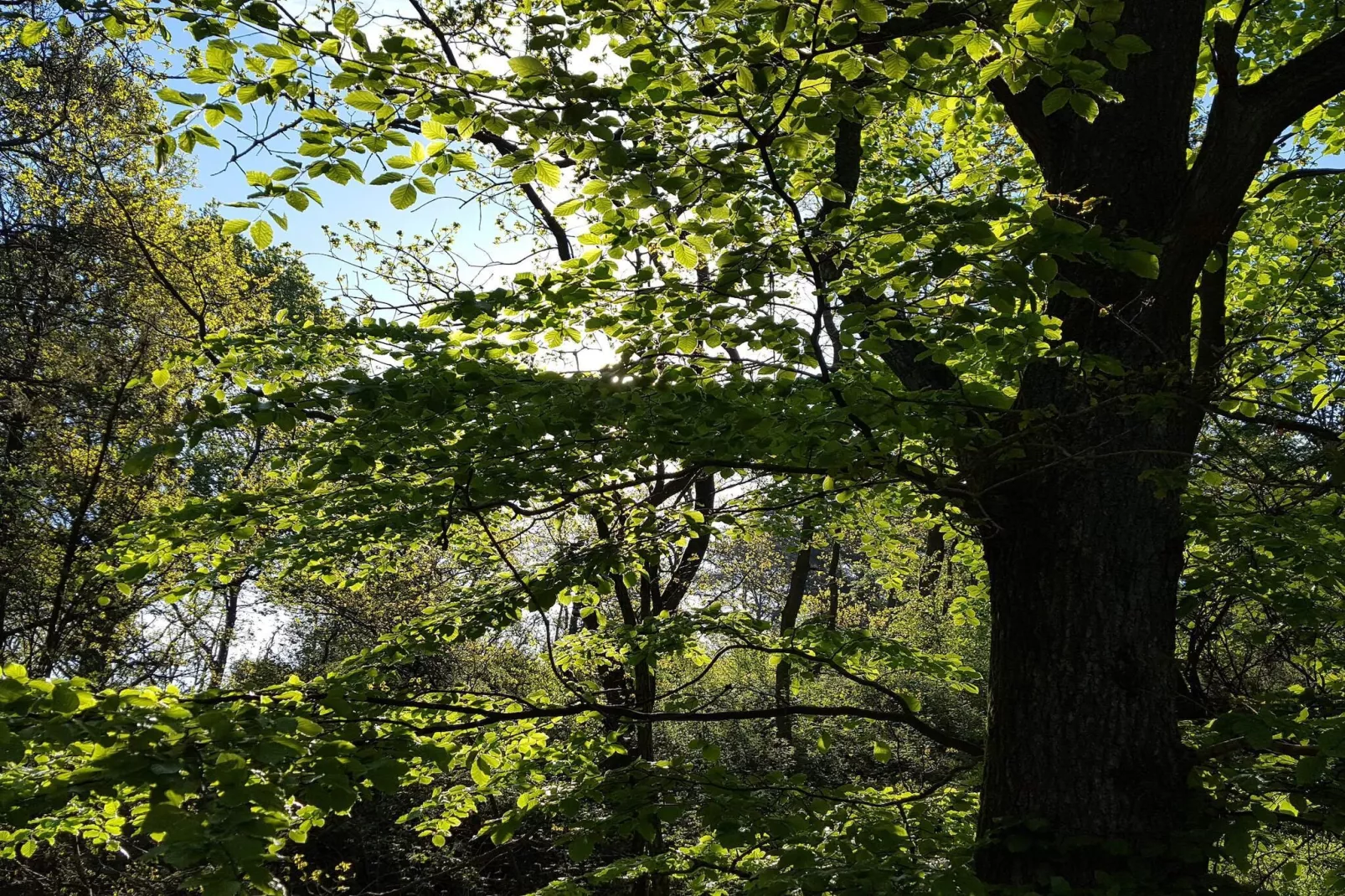 Gezinsvriendelijk huis aan het strand
