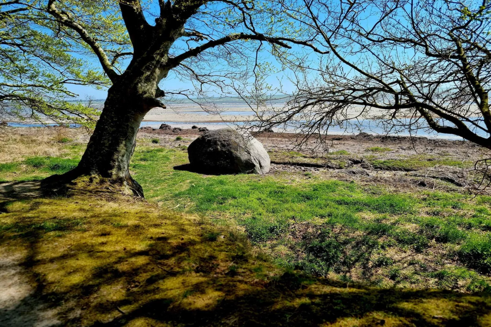 4 persoons vakantie huis in Faxe Ladeplads-Niet-getagd