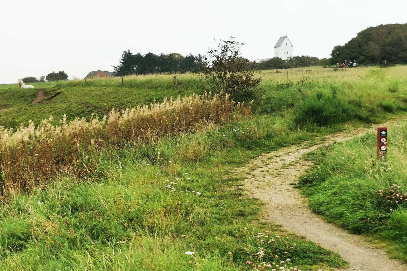 6 persoons vakantie huis in Tarm-By Traum